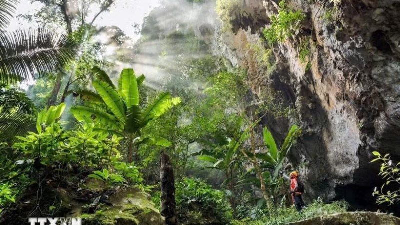 Cảnh b&aacute;o website giả mạo b&aacute;n tour th&aacute;m hiểm Sơn Đo&ograve;ng