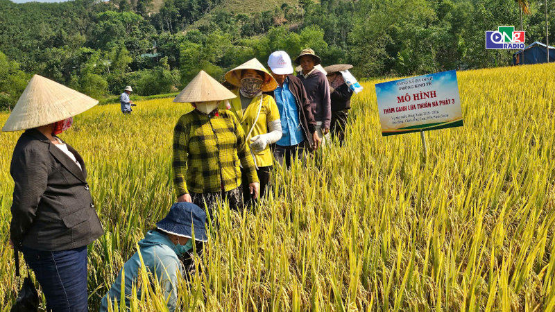 Quảng Ng&atilde;i tập trung giải ng&acirc;n vốn chương tr&igrave;nh mục ti&ecirc;u quốc gia