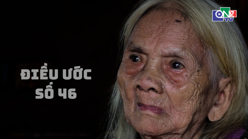 Điều&nbsp;ước số 46