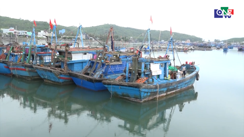 Siết chặt quản l&yacute; cải ho&aacute;n t&agrave;u c&aacute;