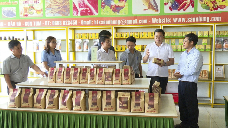 Chủ tịch UBND tỉnh Nguyễn Đức T&acirc;m thăm c&aacute;c m&ocirc; h&igrave;nh sản xuất n&ocirc;ng nghiệp ti&ecirc;u biểu