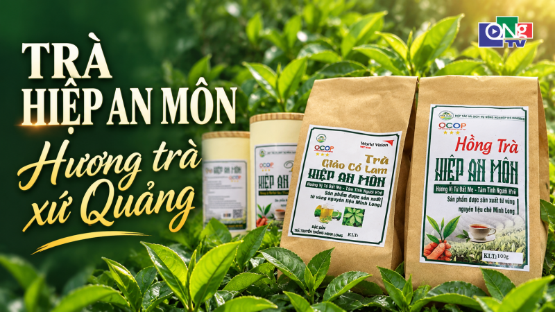 Tr&agrave; Hiệp An M&ocirc;n &ndash; Hương tr&agrave; xứ Quảng 
