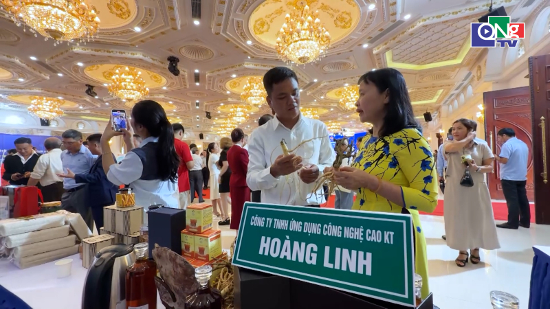 N&acirc;ng cao hiệu quả hỗ trợ doanh nghiệp v&agrave; hộ kinh doanh