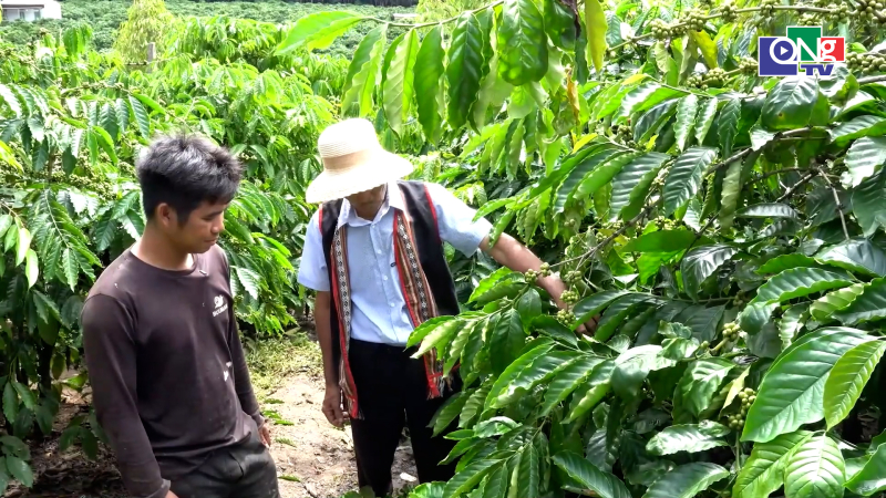 Đảng vi&ecirc;n đến từng nh&agrave; hướng dẫn người d&acirc;n l&agrave;m kinh tế