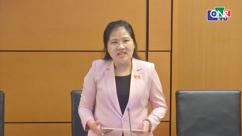 Thảo luận c&aacute;c dự &aacute;n luật, nghị quyết thuộc lĩnh vực tư ph&aacute;p v&agrave; đối ngoại