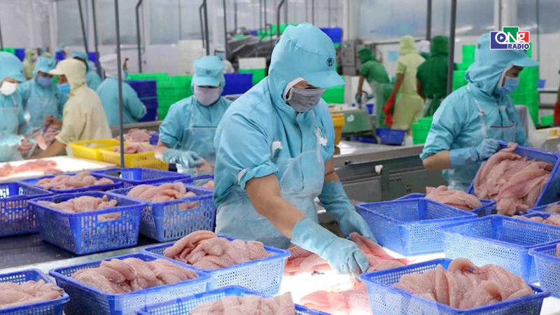 Bản tin kinh tế - t&agrave;i ch&iacute;nh 22/10/2026