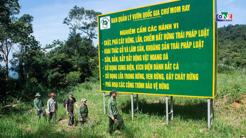 Đi giữa đại ng&agrave;n Chư Mom Ray