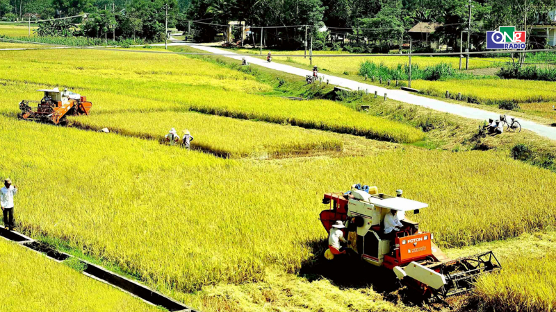 Bản tin kinh tế - t&agrave;i ch&iacute;nh 24/10/2026