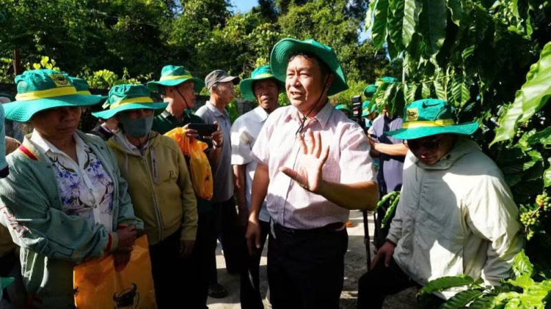 Canh t&aacute;c c&agrave; ph&ecirc; th&ocirc;ng minh gi&uacute;p giảm ph&aacute;t thải 