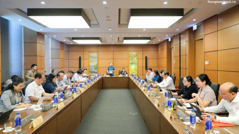 Đại biểu Quốc hội tỉnh Quảng Ng&atilde;i g&oacute;p &yacute; 3 dự &aacute;n luật