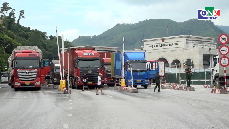Sẽ kh&oacute;a t&agrave;i khoản khai b&aacute;o hải quan với c&aacute;c doanh nghiệp chưa l&agrave;m sạch dữ liệu