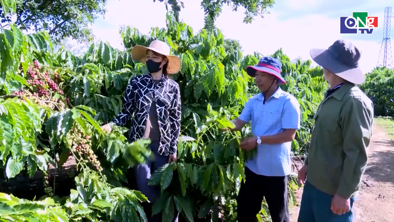 Th&uacute;c đẩy ph&aacute;t triển n&ocirc;ng nghiệp bền vững tr&ecirc;n địa b&agrave;n 