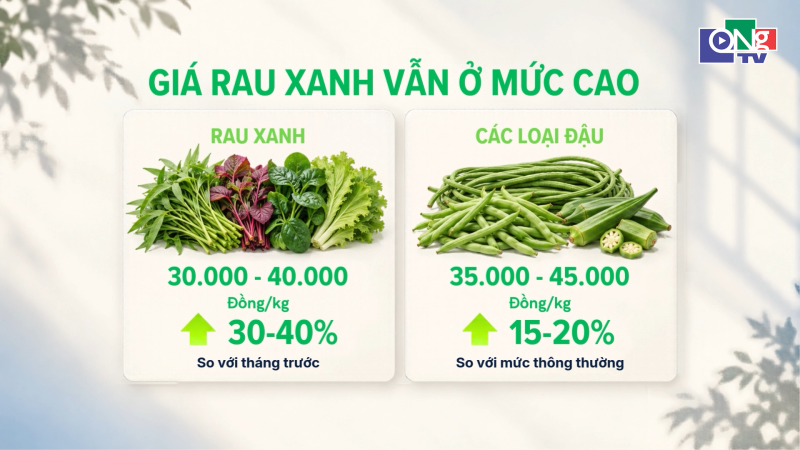Gi&aacute; rau xanh vẫn ở mức cao