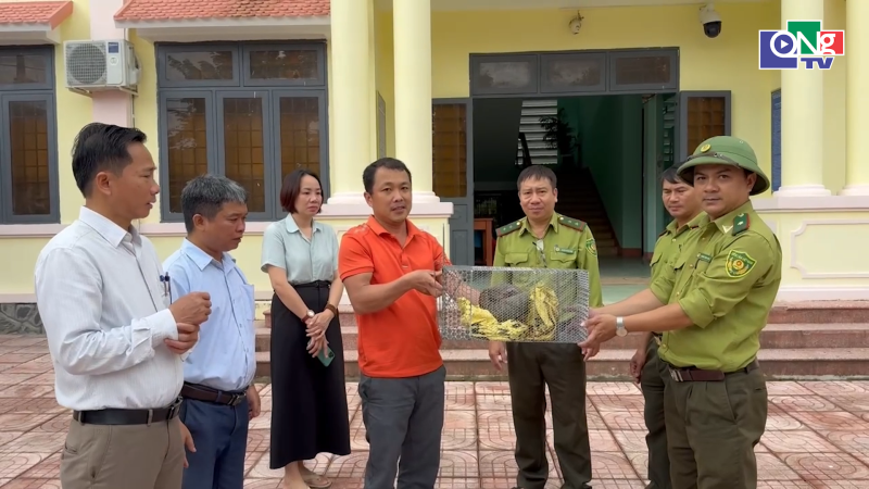Tiếp nhận c&aacute; thể t&ecirc; t&ecirc; qu&yacute; hiếm