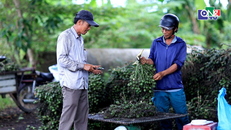 Quảng Ng&atilde;i ng&agrave;y mới 31/10